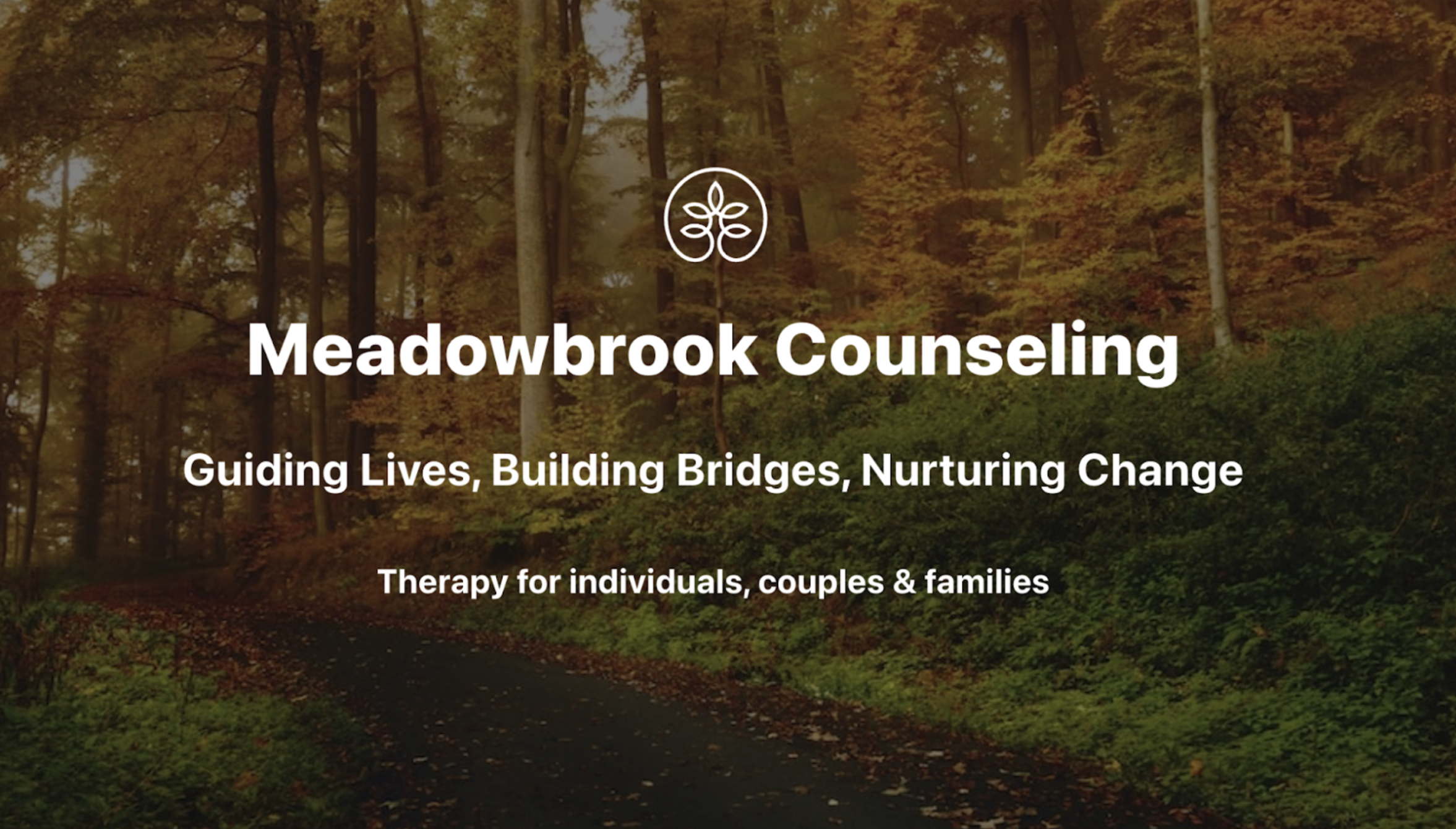 Meadowbrook Counseling Launches Innovative TMS Therapy in Orem, Utah, Offering a New Approach in Depression Treatment